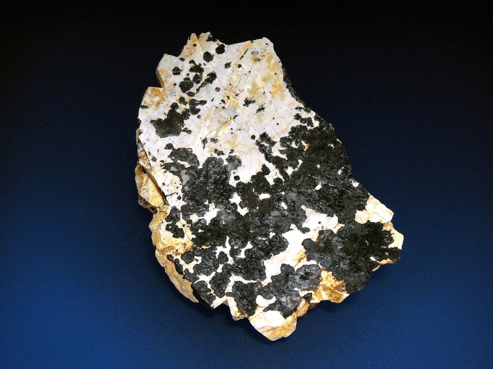 Asbolana
8 x 5 cm.
(Autor: Antonio P. López)