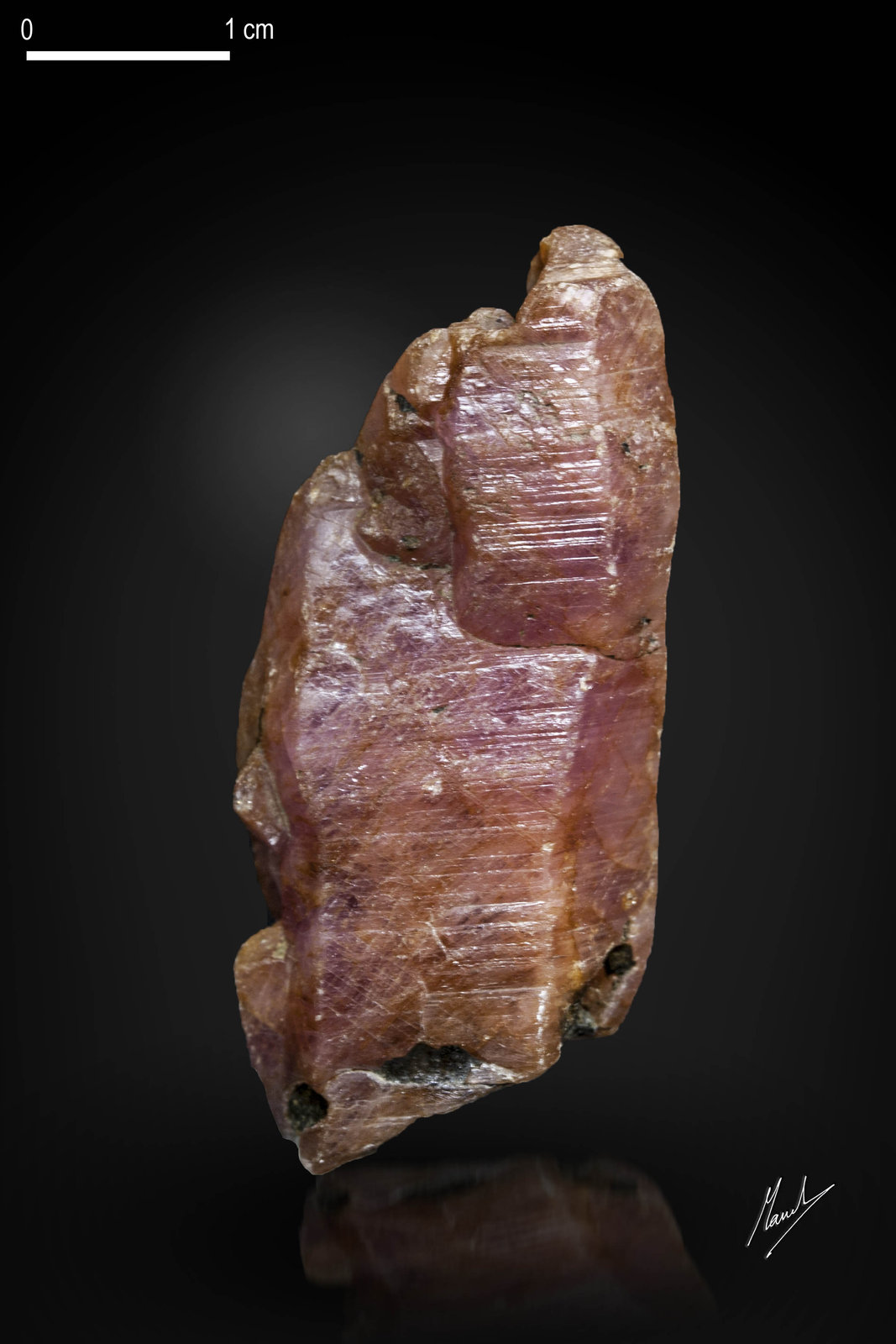 Corindón (variedad rubí)
45 x 19 mm
(Autor: Manuel Mesa)