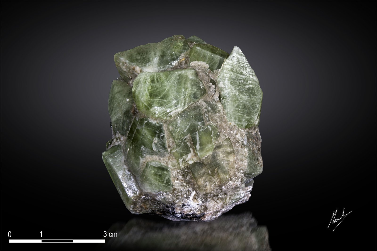 Forsterita
56 x 50 mm
(Autor: Manuel Mesa)