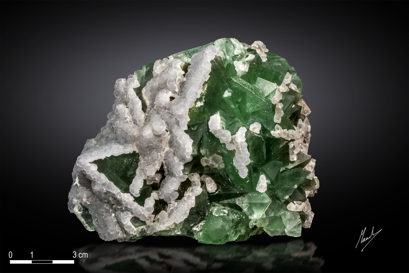 Fluorita
115 x 82 mm
(Autor: Manuel Mesa)