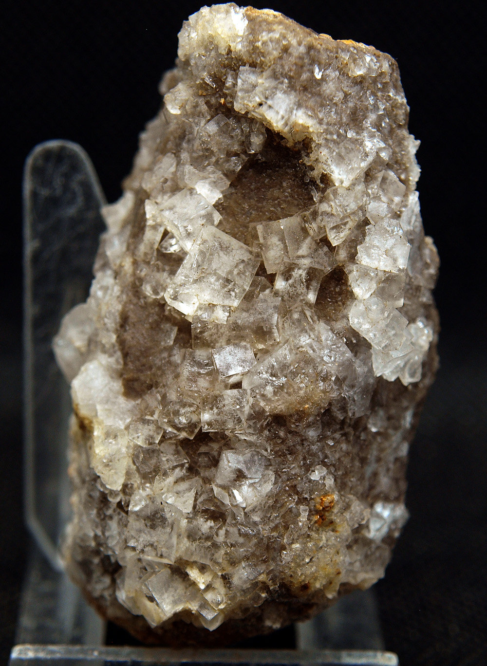 Fluorita
6.5 x 4 cm
(Autor: Pedro Antonio)
