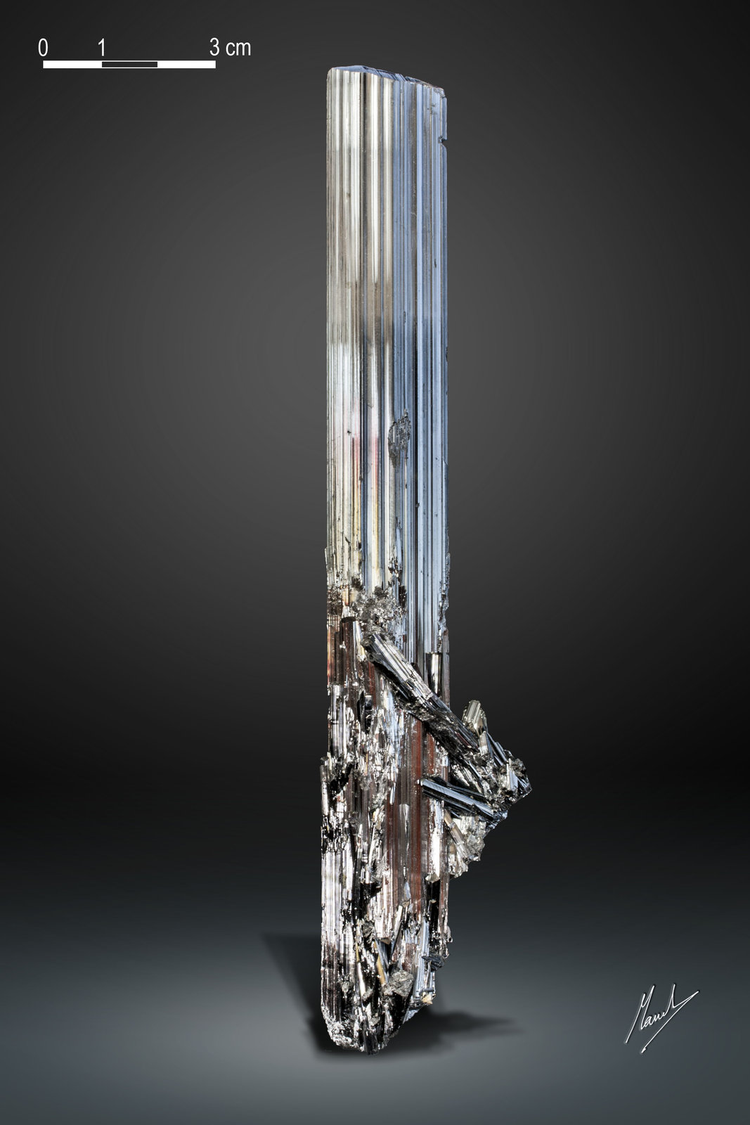 Antimonita
170 x 22 mm
(Autor: Manuel Mesa)