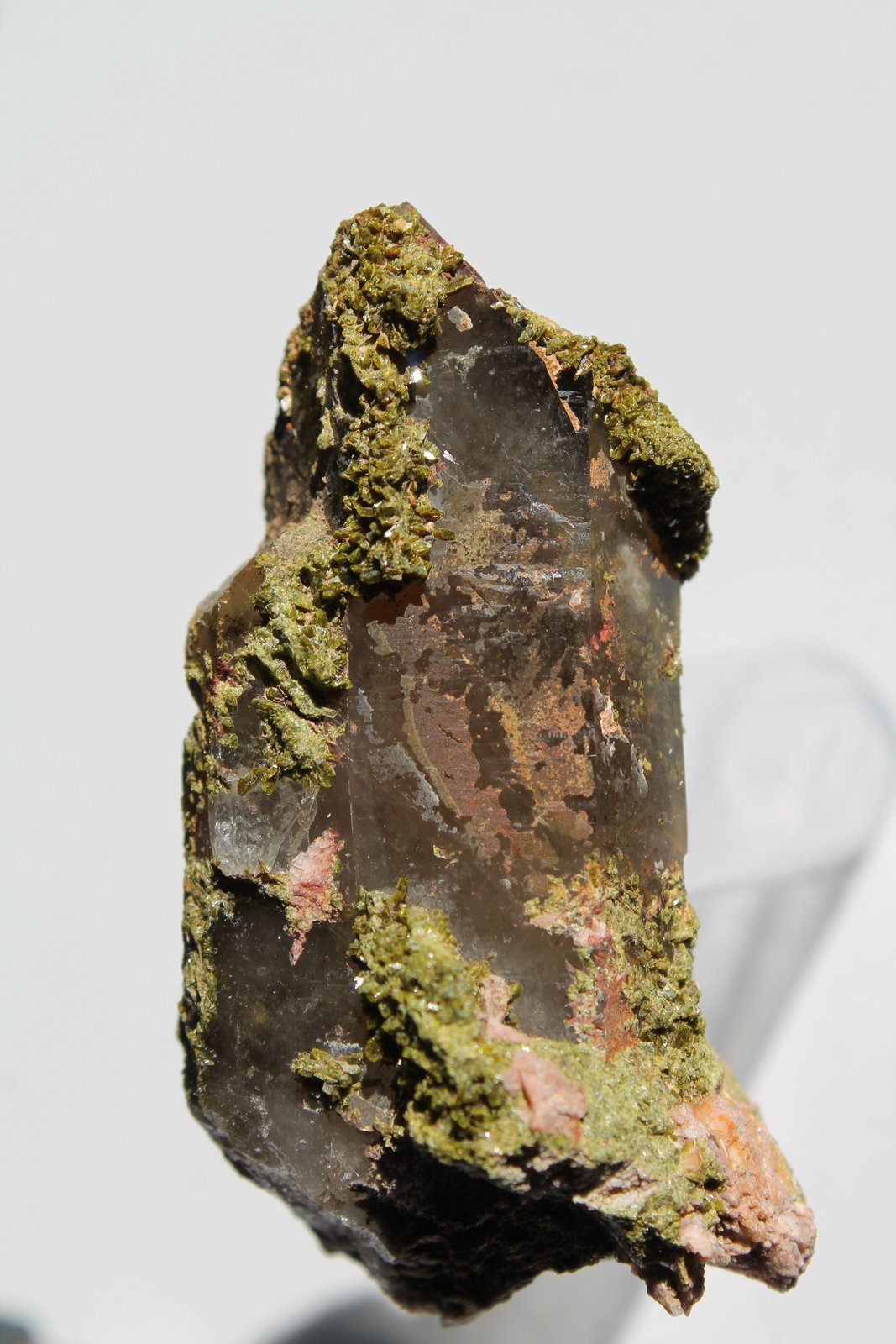 Cuarzo (variedad ahumado), Epidota.
7 x 3,5 cm.
(Autor: Rafael varela olveira)