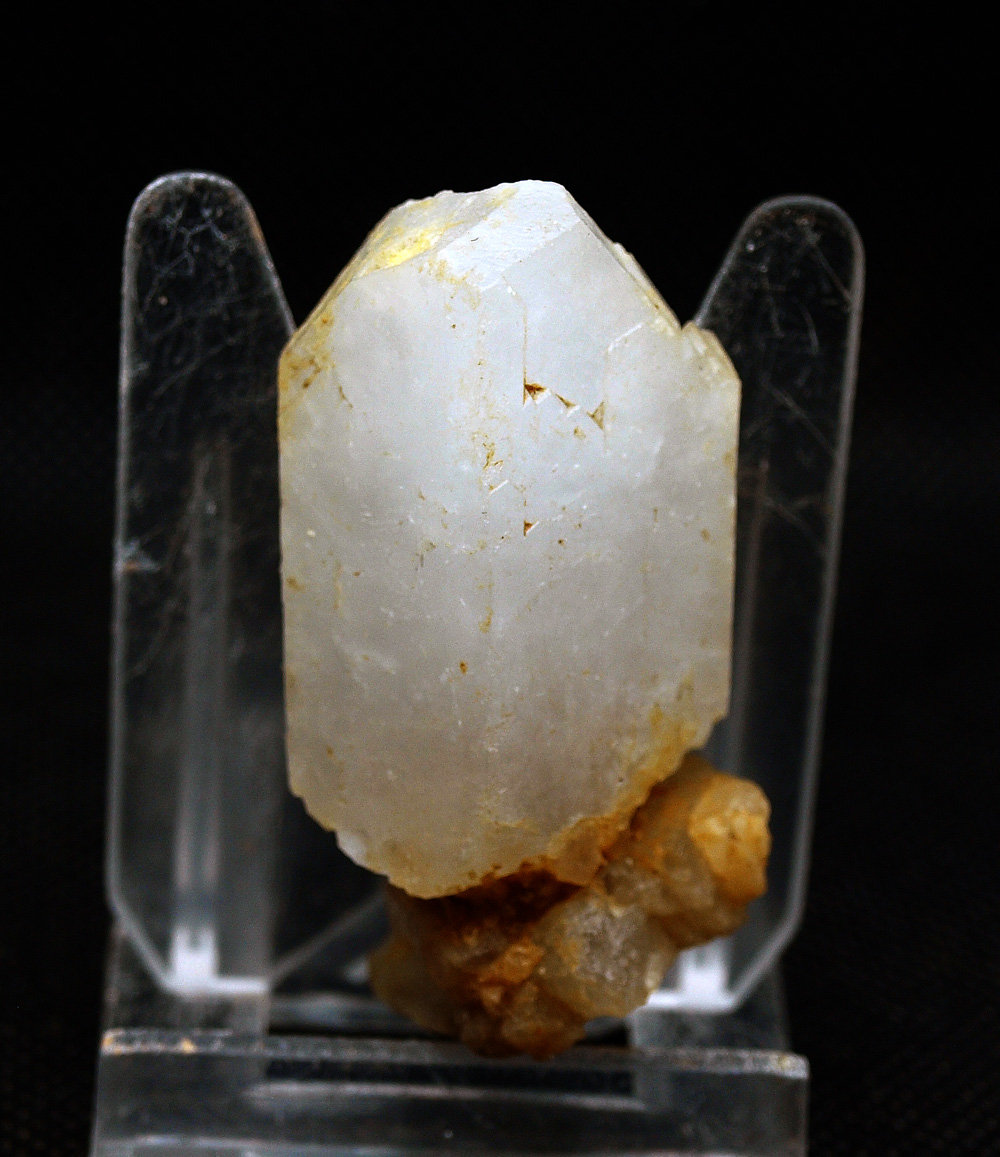Celestina
5 x 2.5 cm
(Autor: Pedro Antonio)