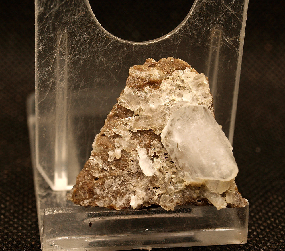 Celestina
3.5 x 3 cm
(Autor: Pedro Antonio)