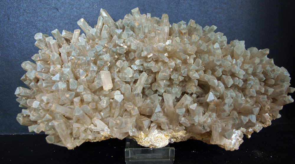 Celestina
25 x 13 cm
(Autor: Pedro Antonio)
