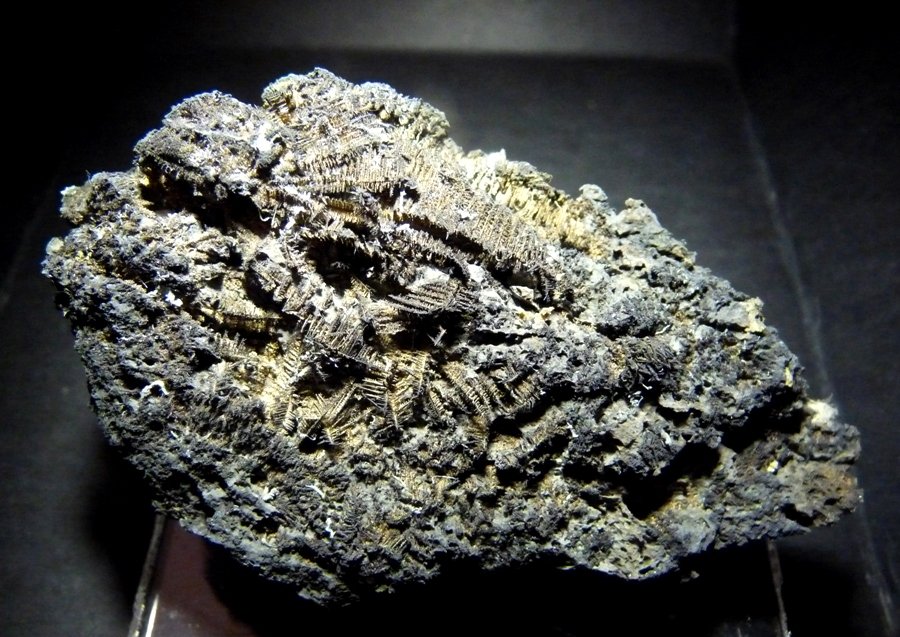 Plata.
100x60 mm.
(Autor: Jesus Franquesa Baucells)