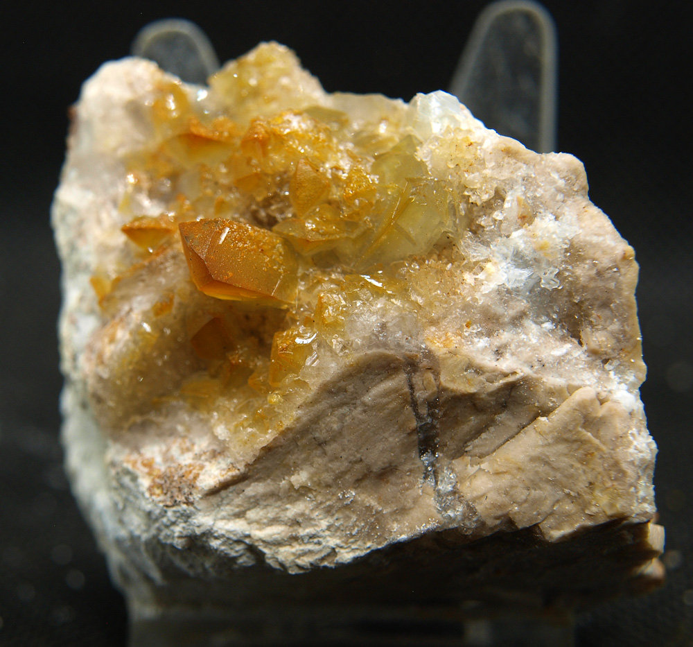 Celestina
6 x 5.5 cm
(Autor: Pedro Antonio)