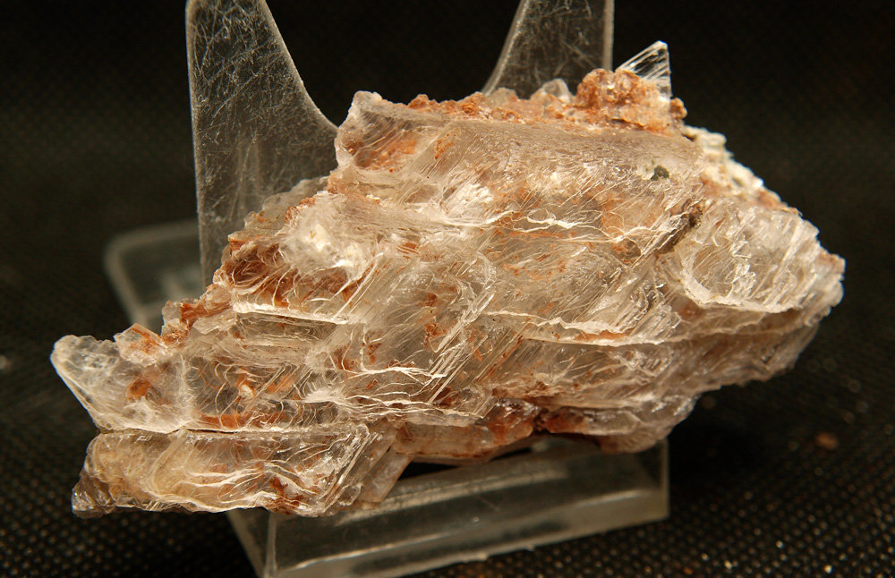 Yeso
7.5 x 3.5 cm
(Autor: Pedro Antonio)