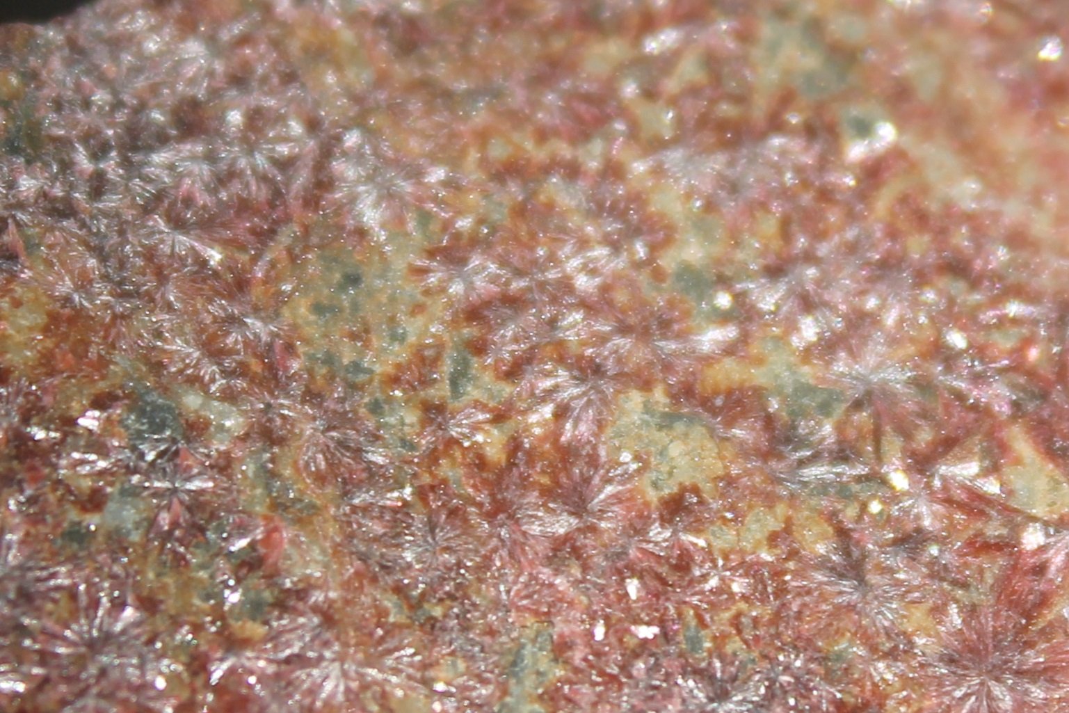Eritrita (Eritrina)
5 x 4 cm.
(Autor: Rafael varela olveira)