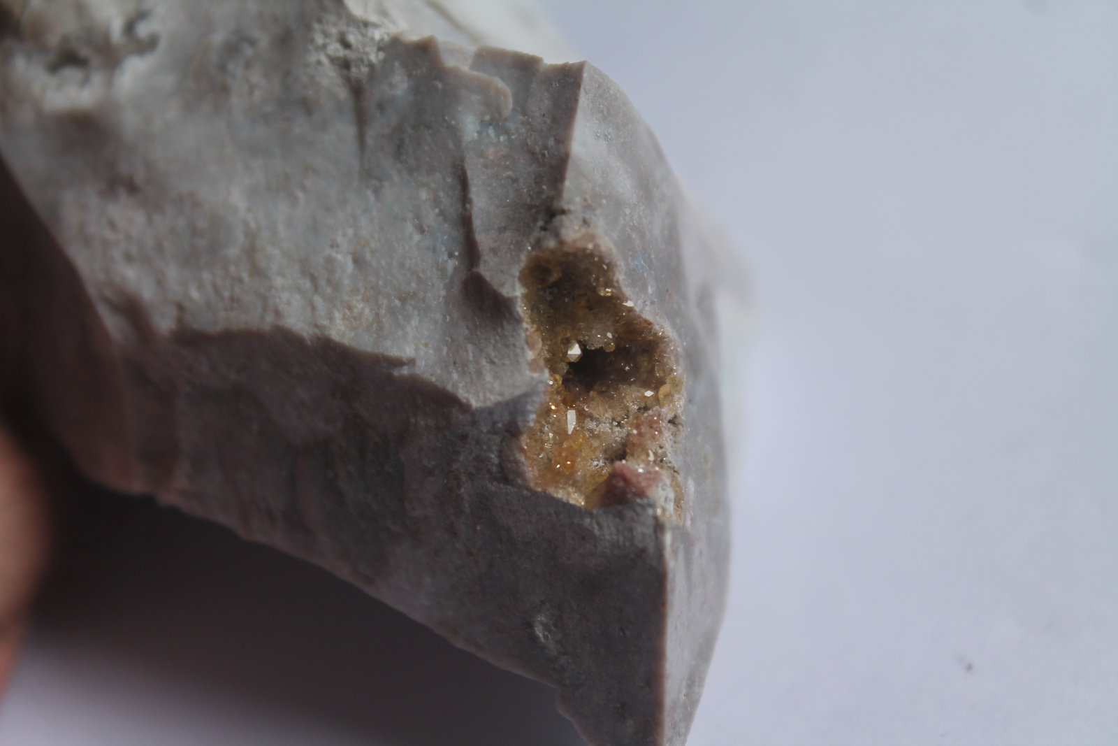 Celestina
4,5 x 4,5 cm.
(Autor: Rafael varela olveira)