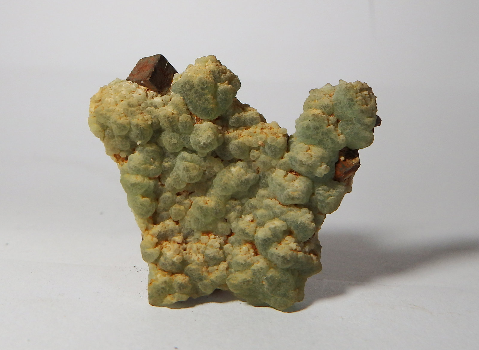 Fluorita y limonita pseudo. Pirita
4,6 x 4,6 x 1,1 cm
(Autor: heat00)