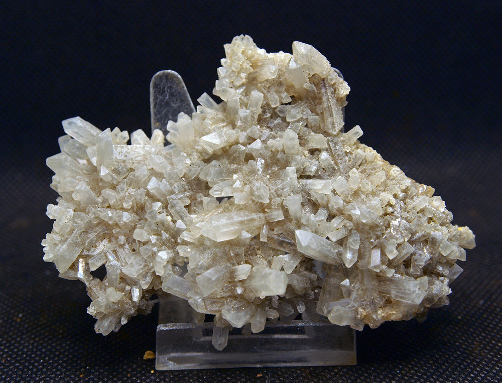 Celestina
9 x 6 cm
(Autor: Pedro Antonio)