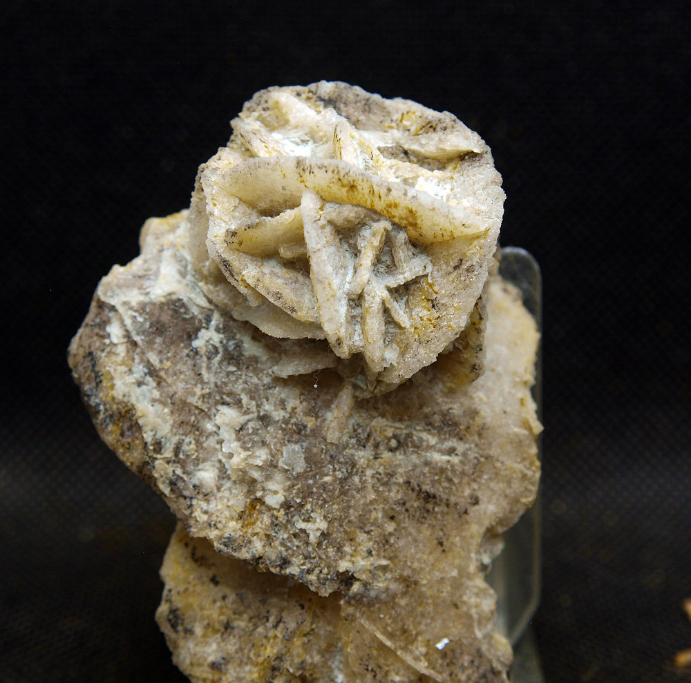 Calcita pseudomórfica de Yeso
8 x 5.5 cm
(Autor: Pedro Antonio)