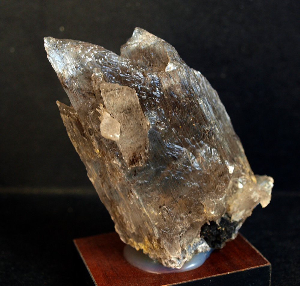Yeso
8 x 4.5 cm
(Autor: Pedro Antonio)