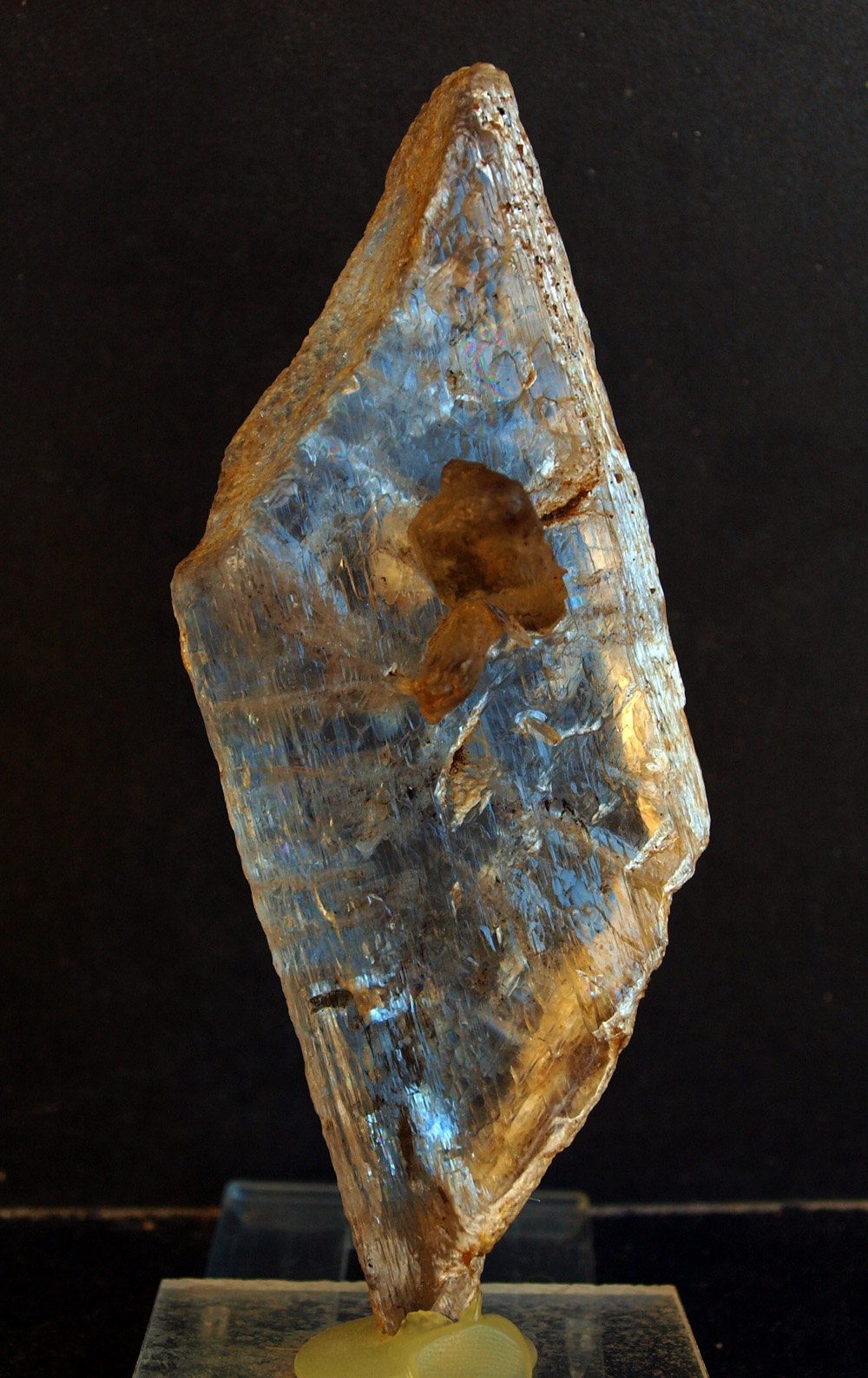 Yeso
11 x 5.5 cm
(Autor: Pedro Antonio)