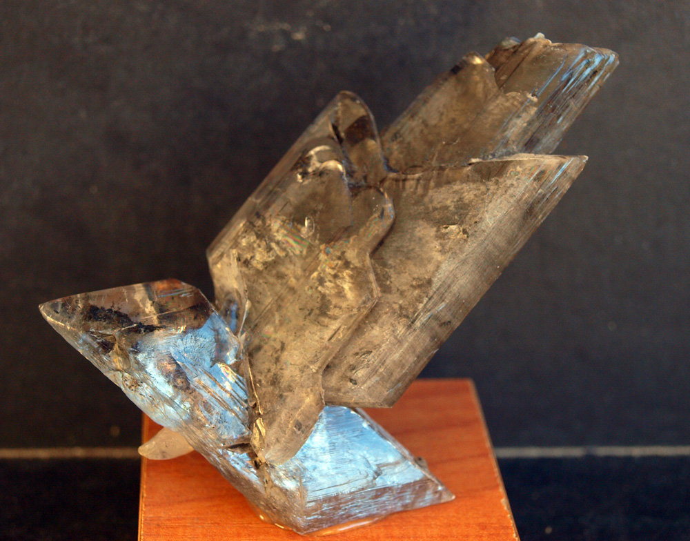Yeso
9 x 6 cm
(Autor: Pedro Antonio)