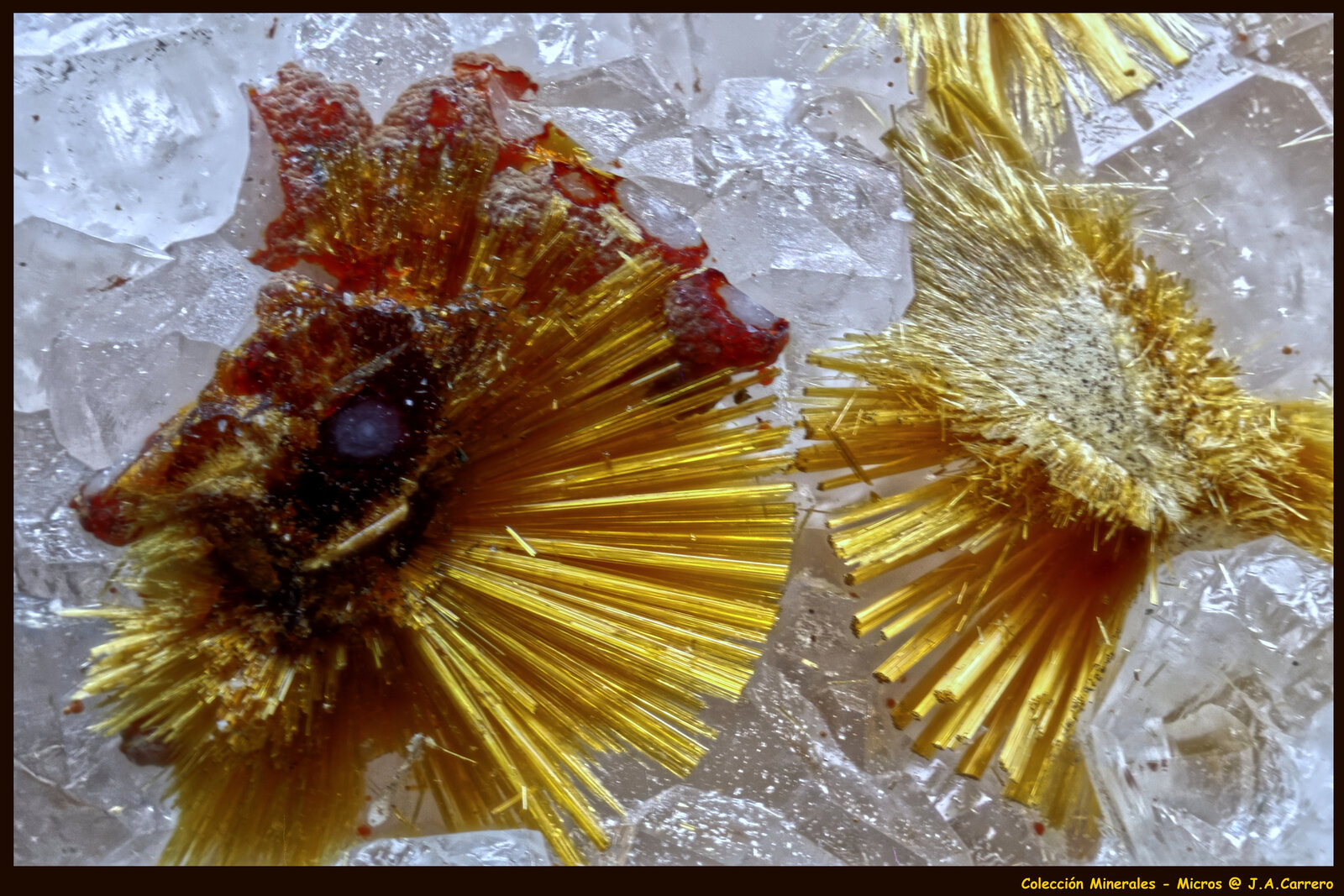 Cacoxenita
FoV: 4 x 3 mm
(Autor: Jose Angel Carrero)