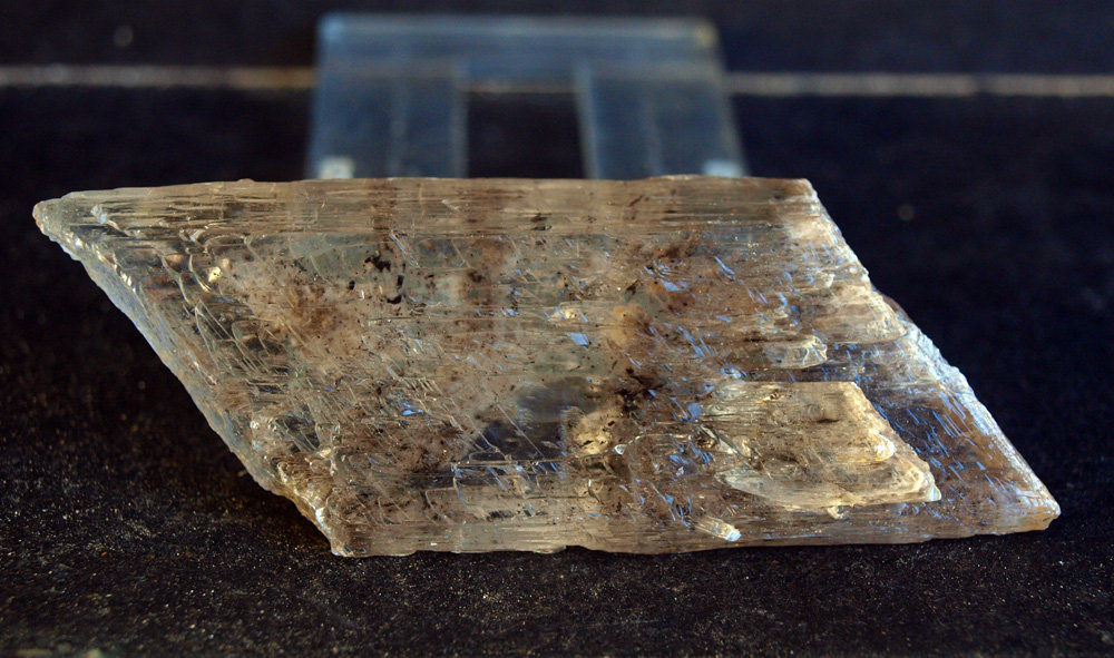 Yeso
8 x 3 cm
(Autor: Pedro Antonio)