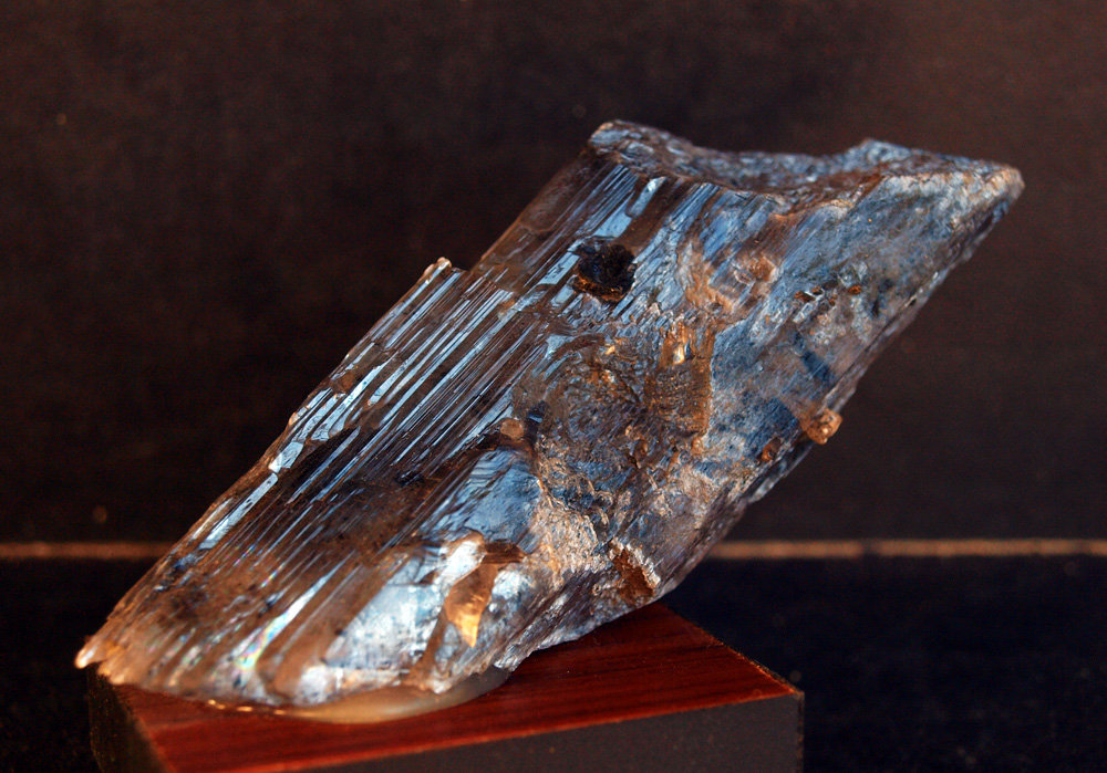 Yeso
9.5 x 4 cm
(Autor: Pedro Antonio)