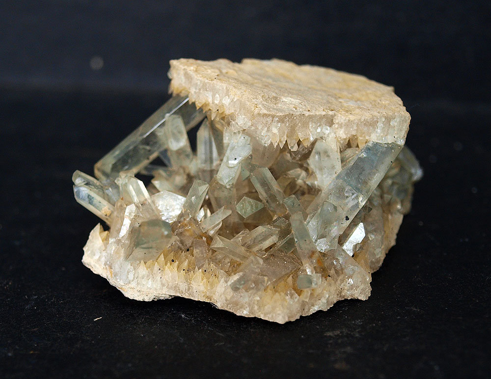 Celestina
4.5 x 3.5 cm
(Autor: Pedro Antonio)