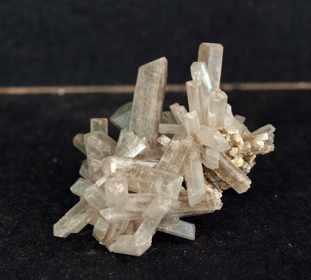 Celestina
5 x 3.5 cm
(Autor: Pedro Antonio)