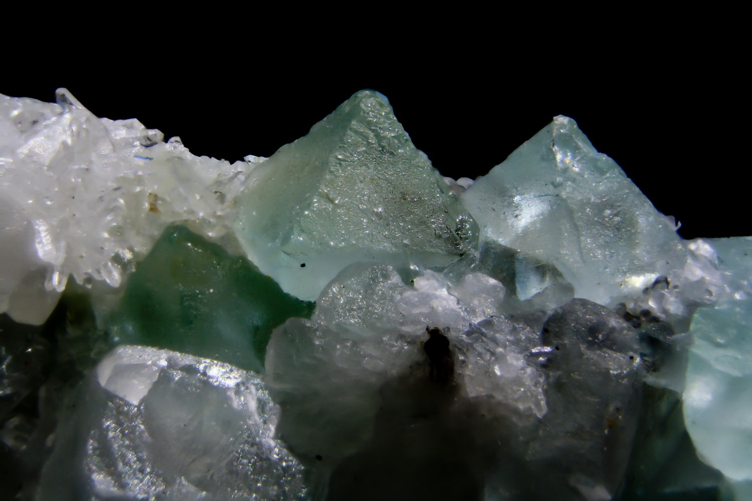Fluorita
Cristal mayor
(Autor: Jorgina-Agusti-Màrius)
