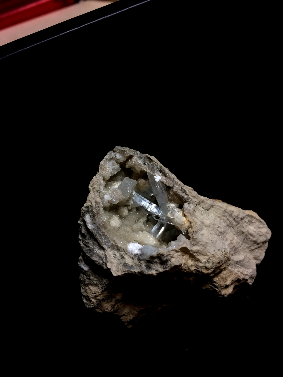 Celestina
7x5cm
(Autor: Obsi)