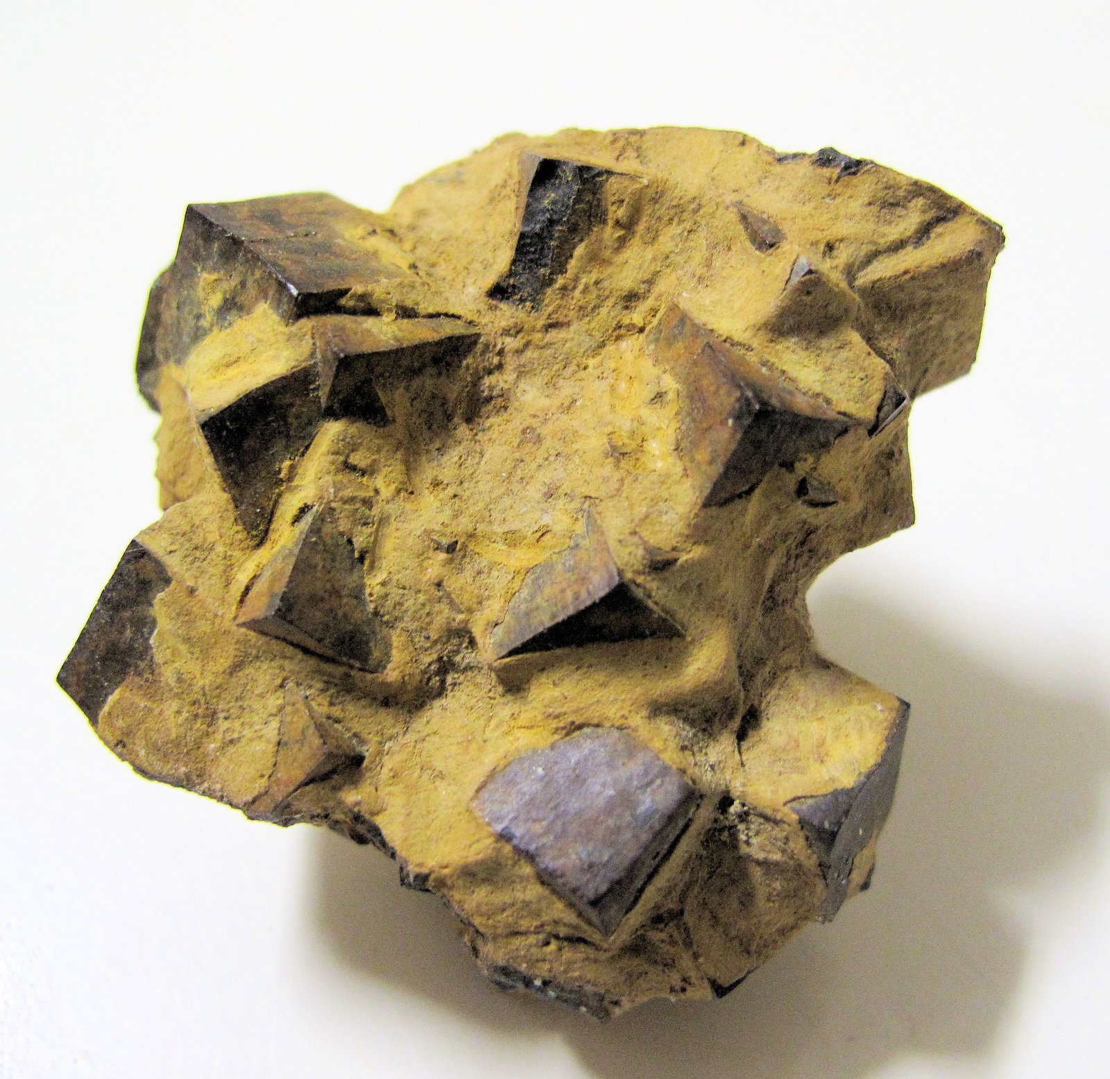 Goethita
40 mm x 35 mm. Cristal mayor: 9 mm de arista. Masa: 36 g
(Autor: Carles Millan)