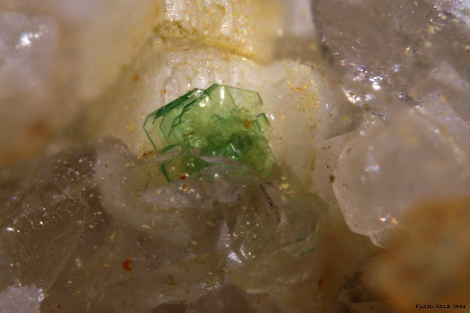 Torbernita
1 mm
(Autor: Jorgina-Agusti-Màrius)
