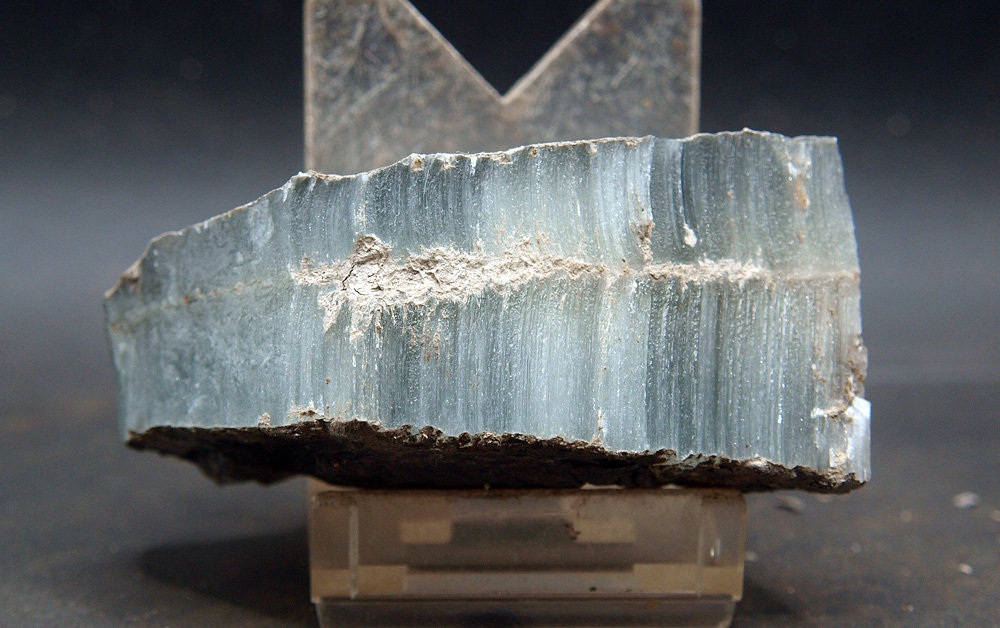 Celestina
9.5 x 3.5 cm
(Autor: Pedro Antonio)