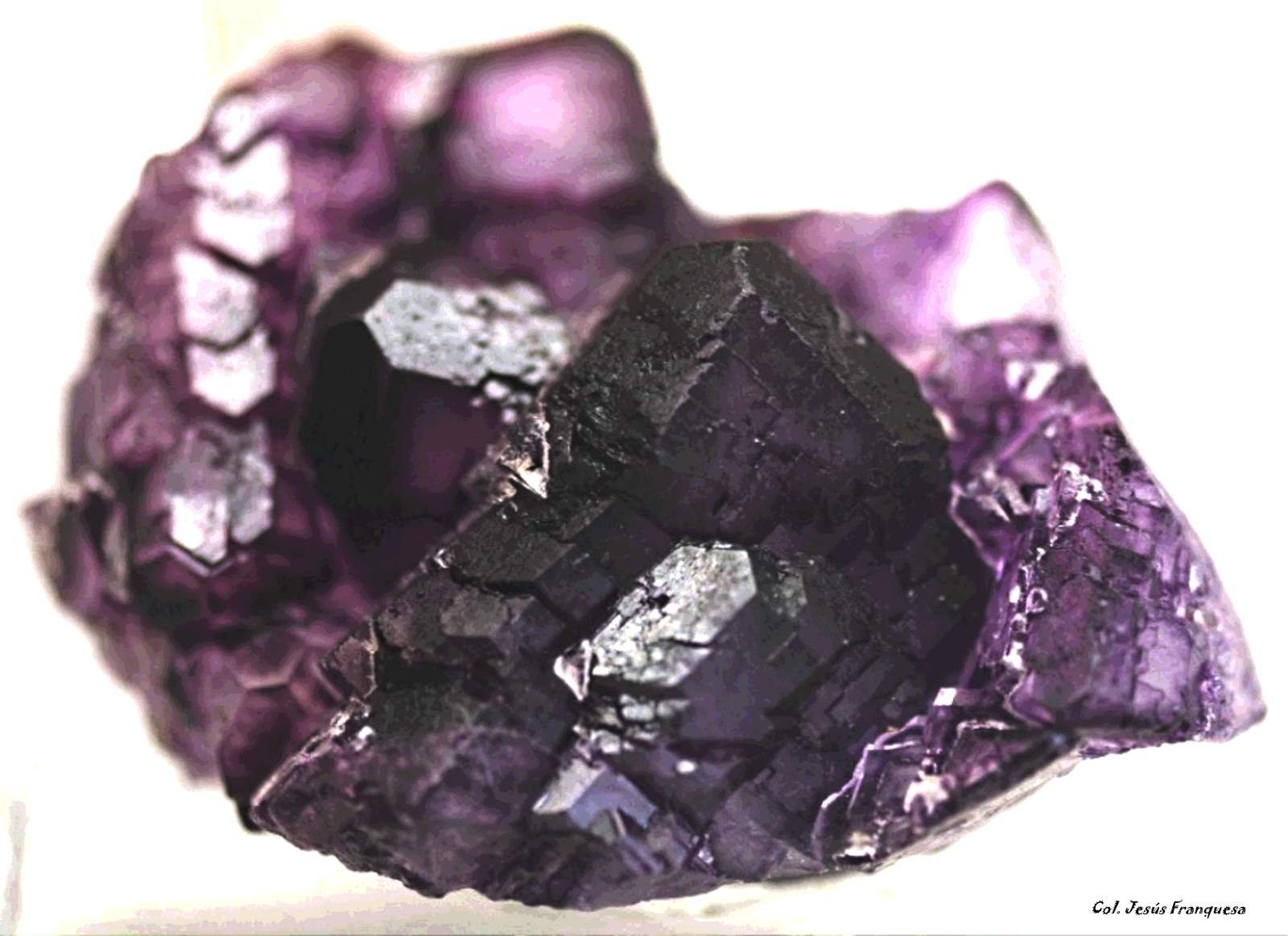 Fluorita.
70x60 mm.
(Autor: Jesus Franquesa Baucells)