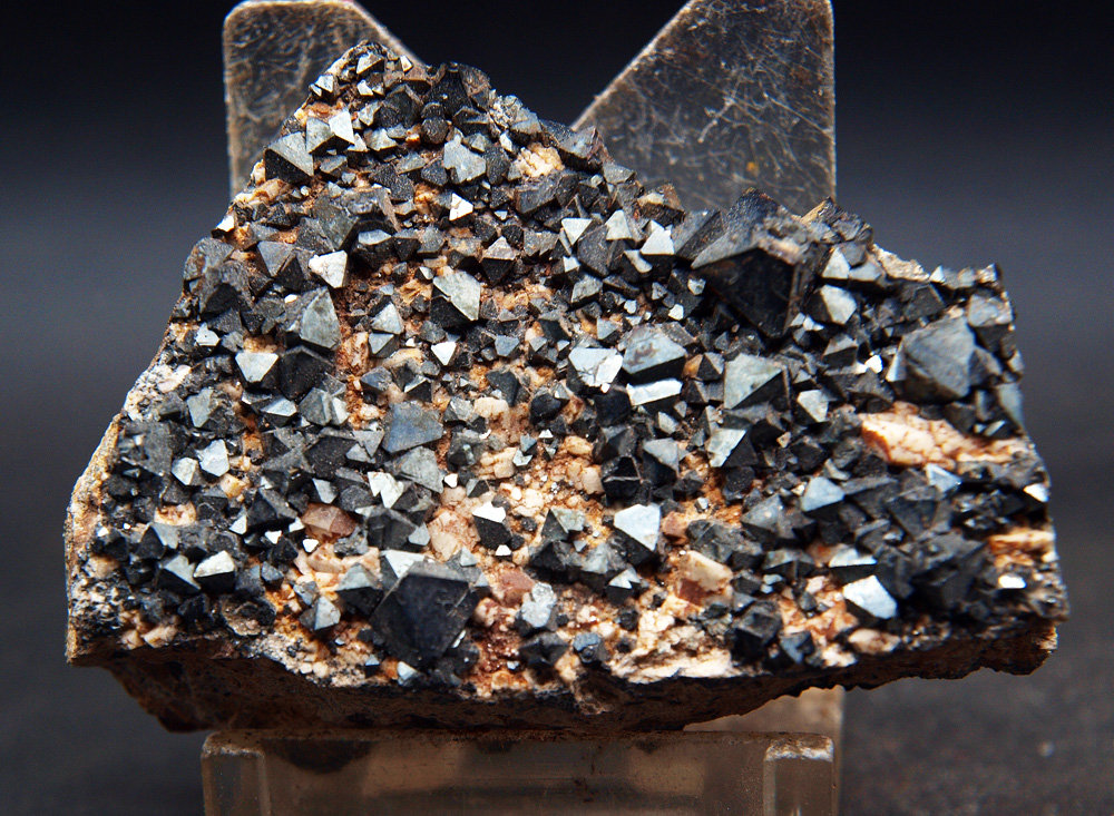 Magnetita
6 x 4.5 cm
(Autor: Pedro Antonio)