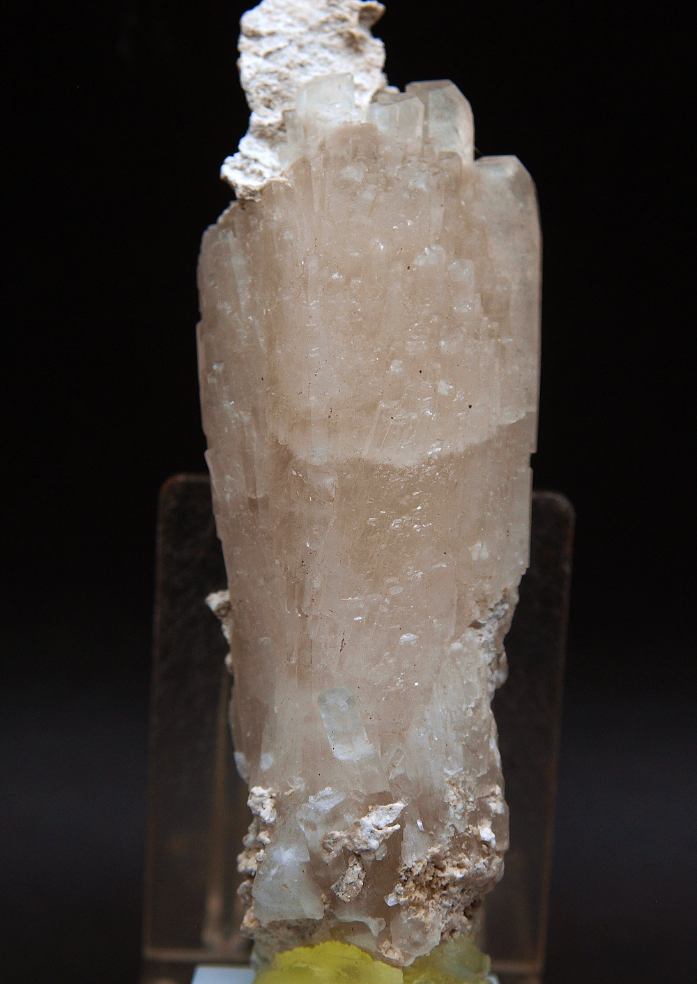 Celestina
9 x 3 cm
(Autor: Pedro Antonio)