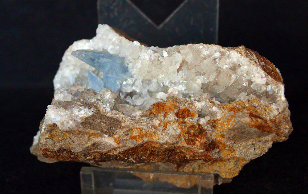 Celestina
7 x 4 cm
(Autor: Pedro Antonio)