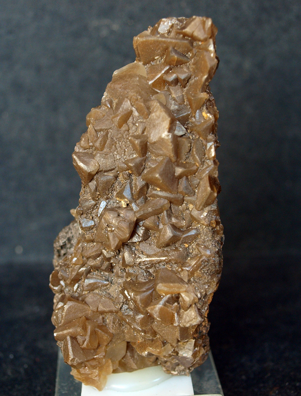 Calcita
8.5 x 3.5 cm
(Autor: Pedro Antonio)