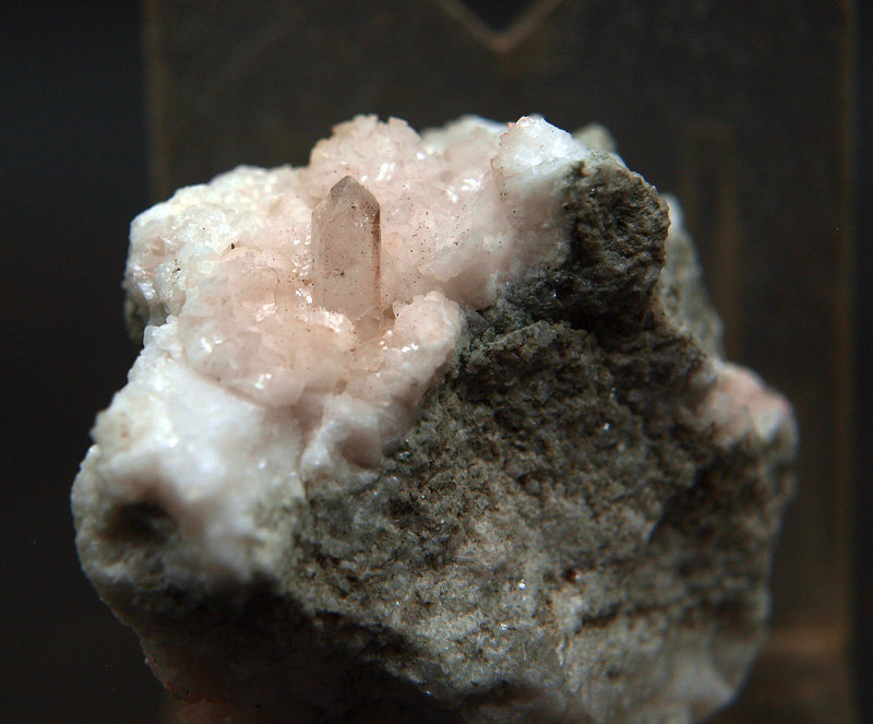 Celestina
5 x 3.5 cm
(Autor: Pedro Antonio)