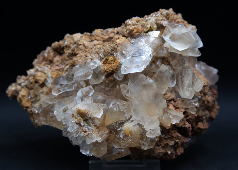 Yeso
13 x 8.5 cm
(Autor: Pedro Antonio)