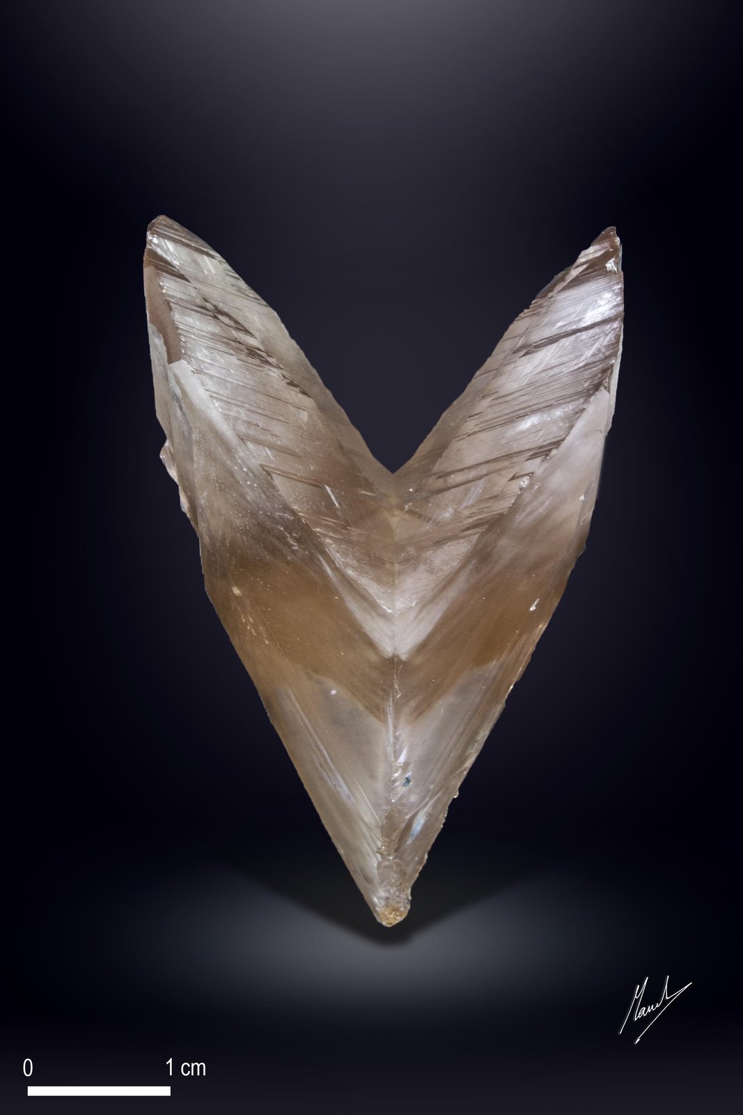 Cerusita
47 x 38 mm
(Autor: Manuel Mesa)