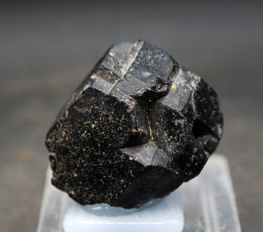 granate andradita
3.5 x 3.5 cm
(Autor: Pedro Antonio)