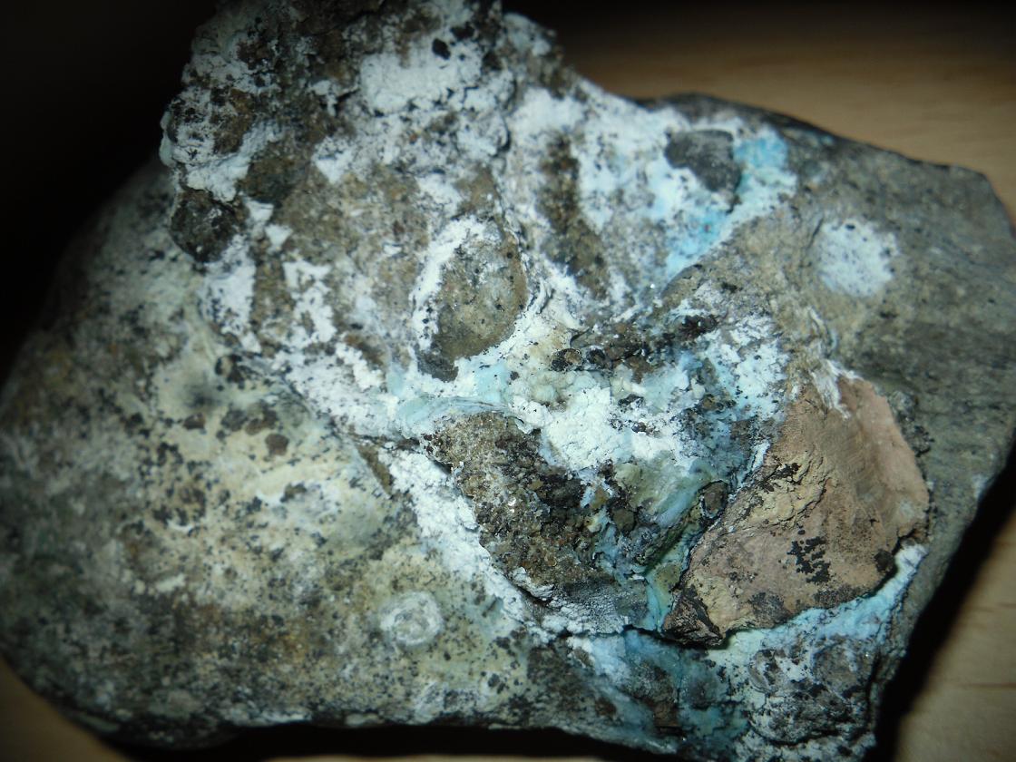 Alofana
10'5 x 7 cm
(Autor: Jordi Franco)