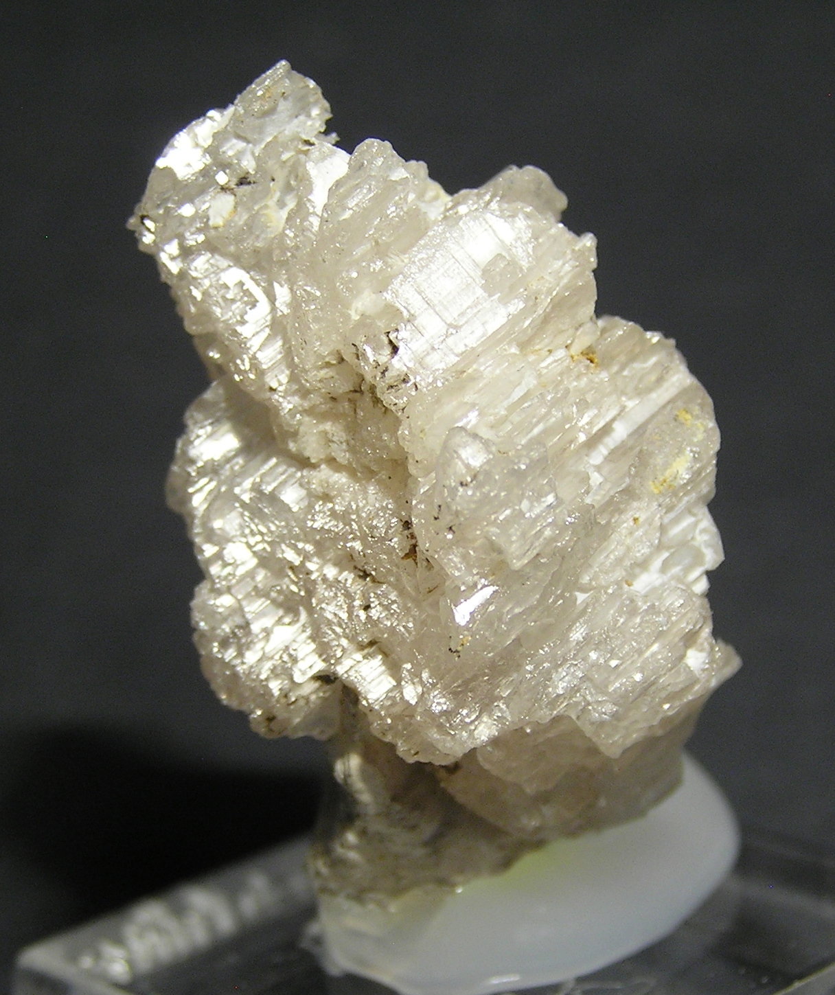Cerusita
3,5 x 2 x 2 cm
(Autor: Frederic Varela)