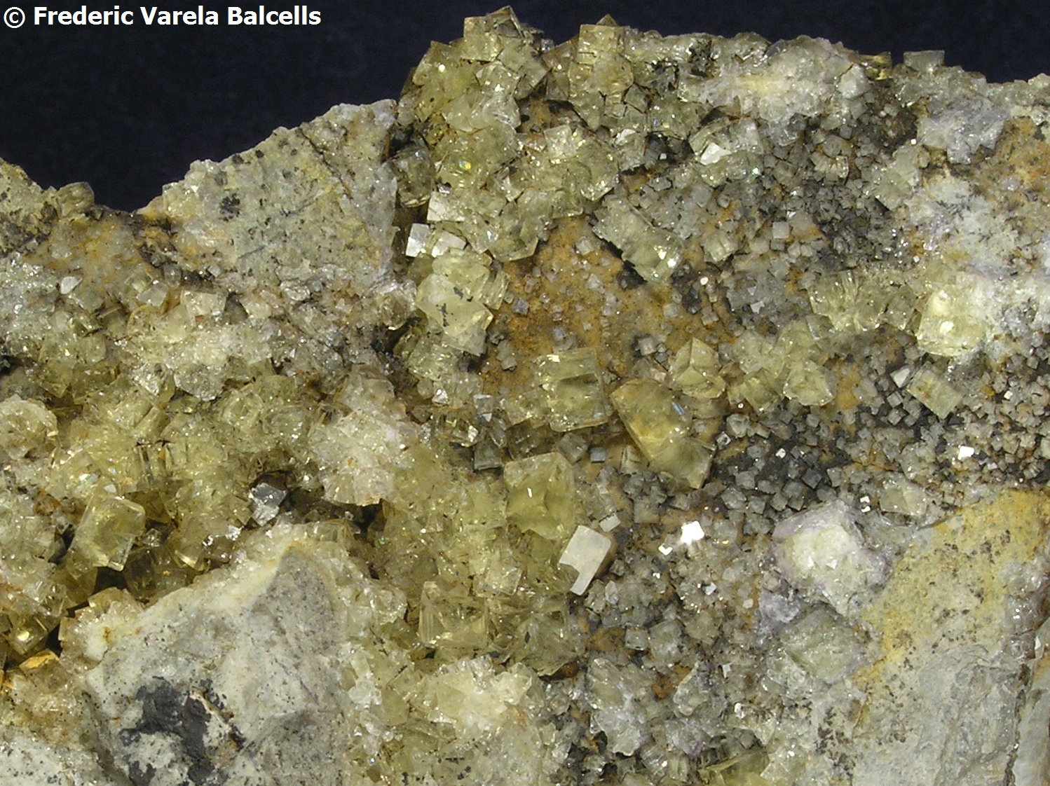 Fluorita
5,5 x 4,5 cm.
(Autor: Frederic Varela)