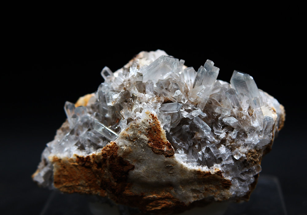 Celestina
9 x 6.5 cm
(Autor: Pedro Antonio)