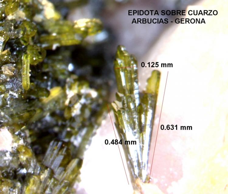 Epidota y Cuarzo
0.484 x 0.631 x 0.125 mm.
(Autor: Jesus Franquesa Baucells)