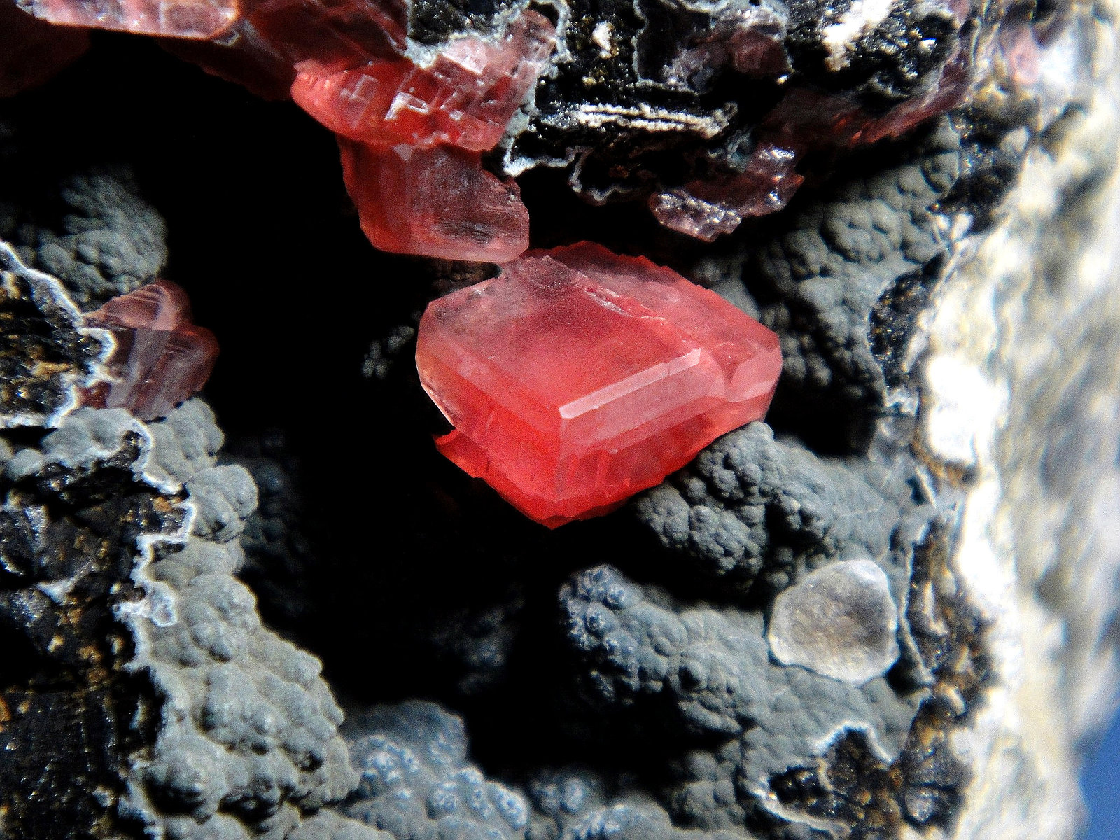 Rodocrosita
Cristal de 1,5 cm.
(Autor: Antonio P. López)