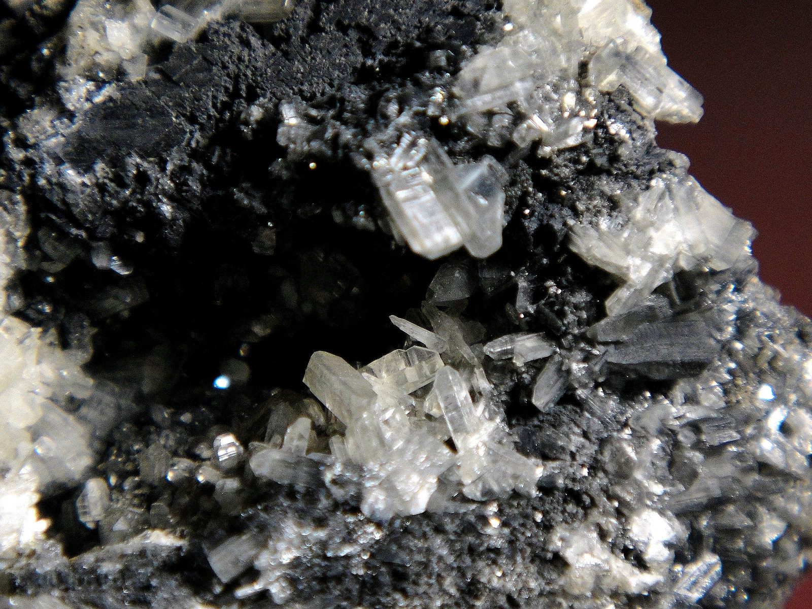 Cerusita y Galena
Campo visión 3 cm.
(Autor: Antonio P. López)