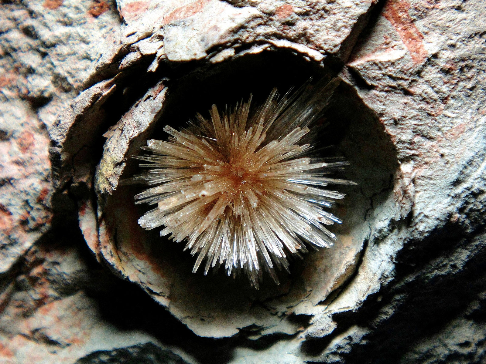 Aragonito
Campo de visión 4 cm.
(Autor: Antonio P. López)
