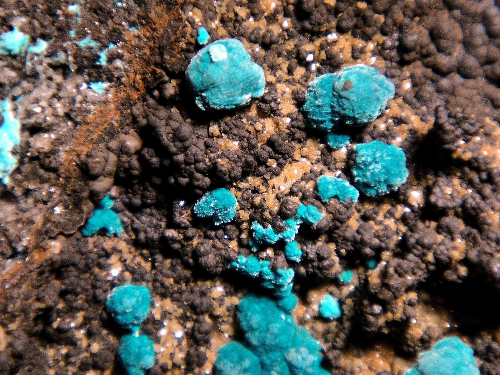 Rosasita y Hemimorfita
Campo de visión 3 cm.
(Autor: Antonio P. López)