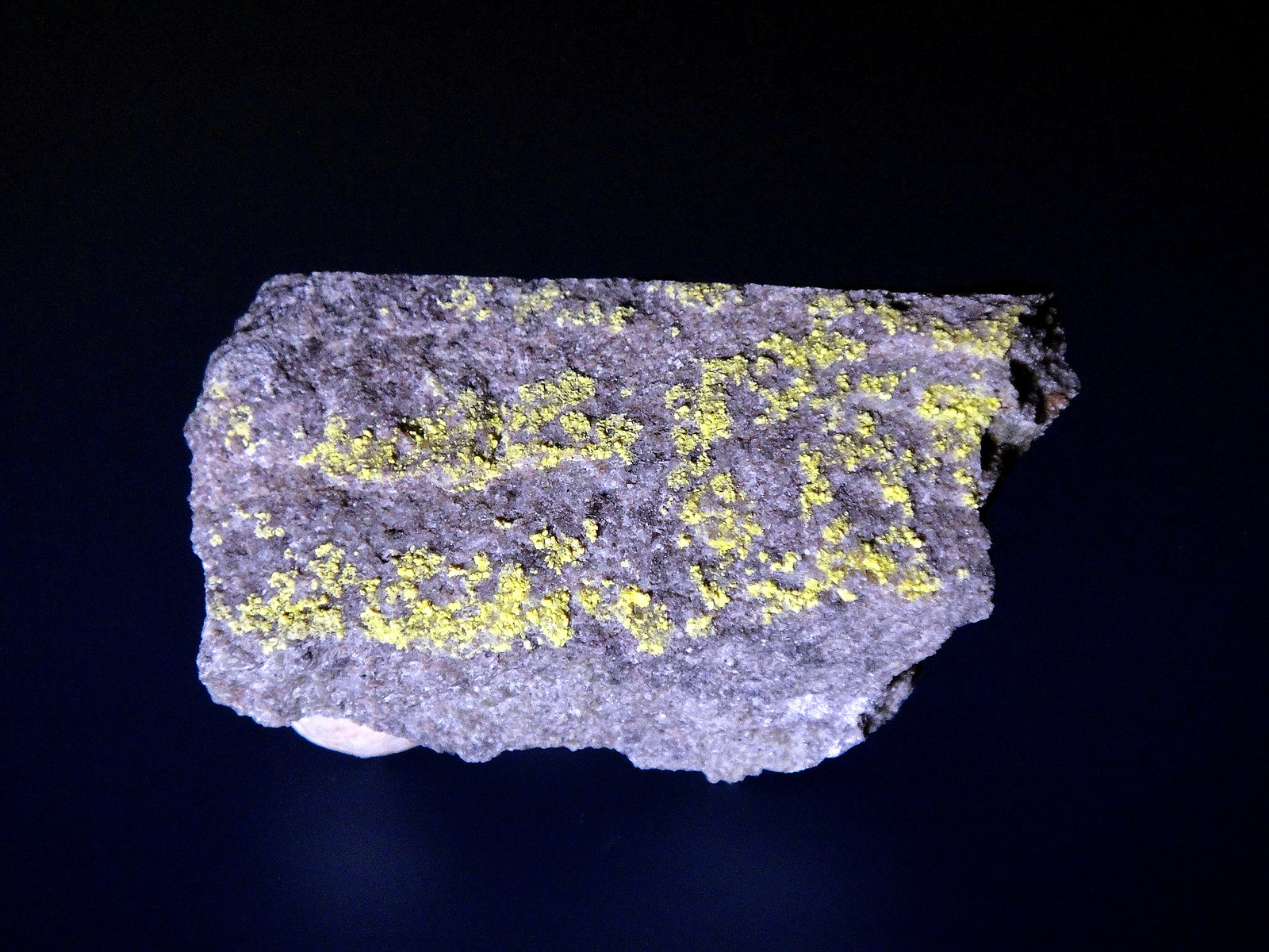 Cejkaita
5 x 2,5 cm.
(Autor: Antonio P. López)